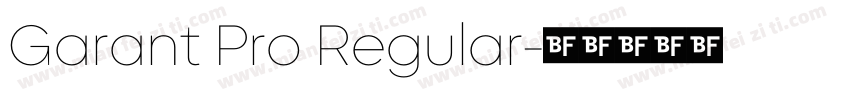 Garant Pro Regular字体转换